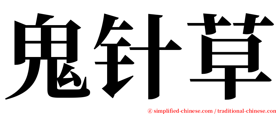 鬼针草 serif font