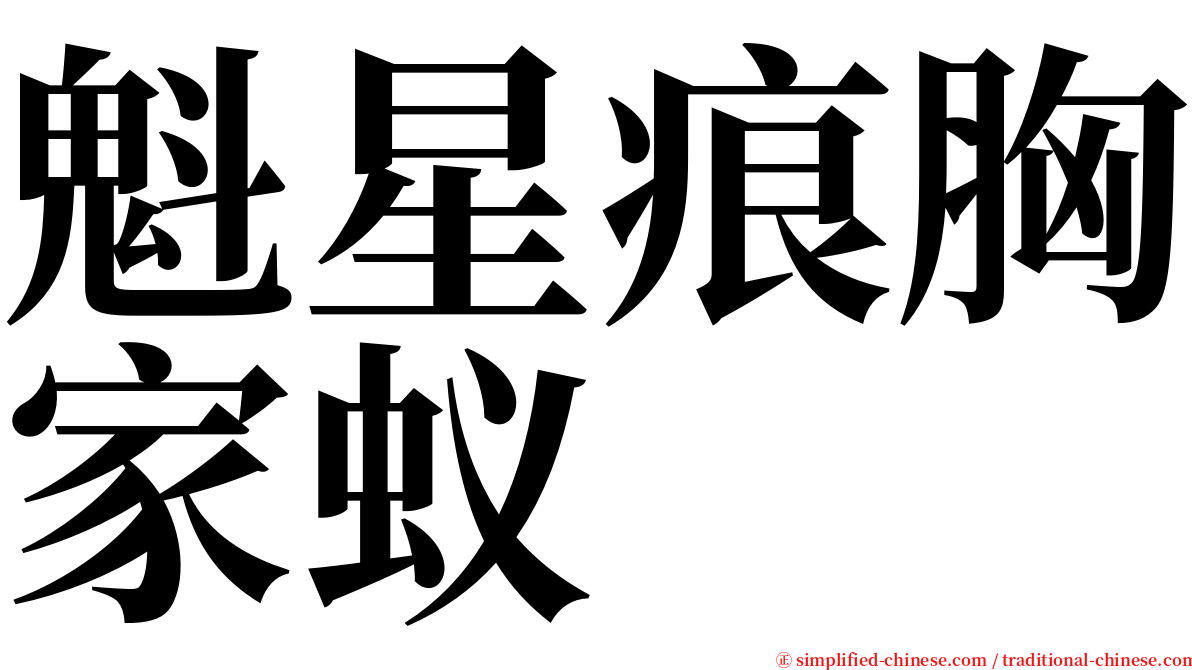 魁星痕胸家蚁 serif font