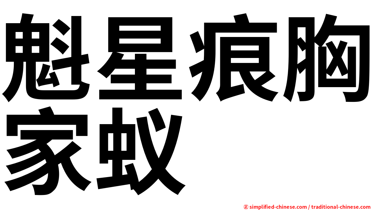 魁星痕胸家蚁