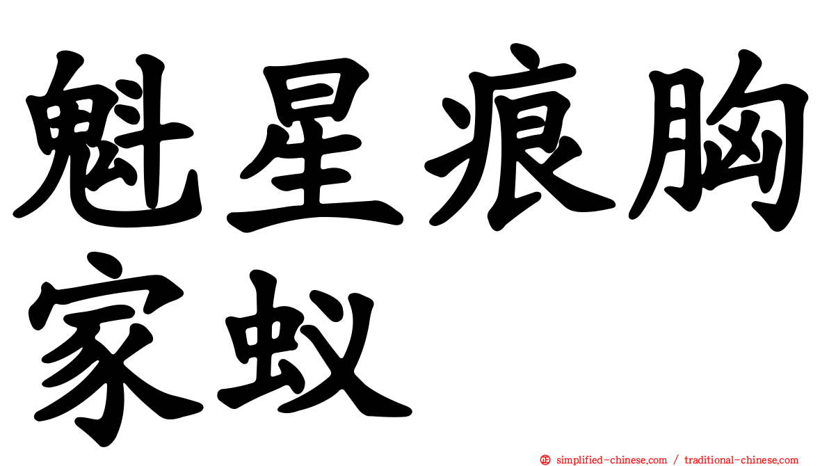魁星痕胸家蚁