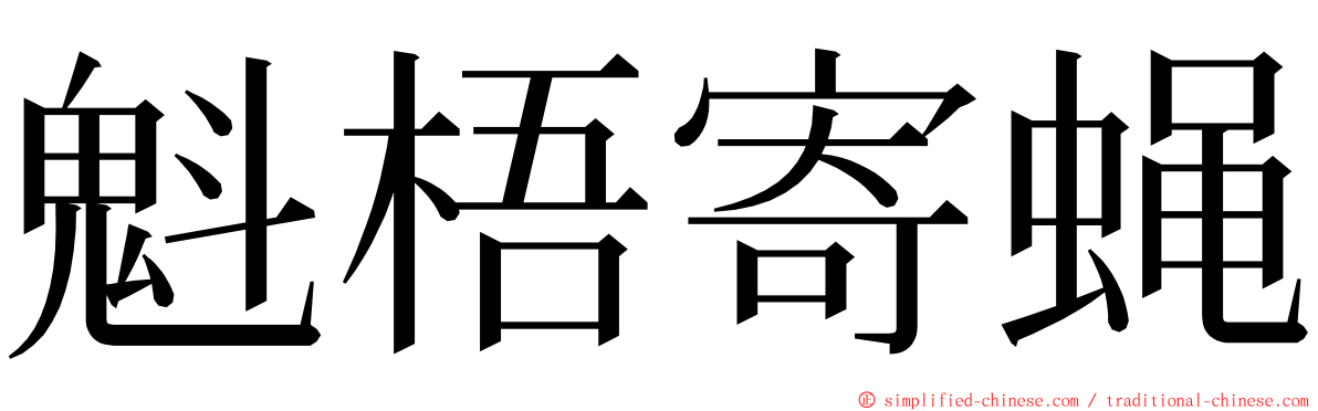 魁梧寄蝇 ming font