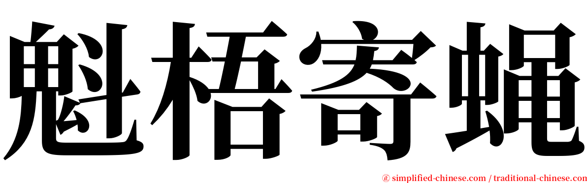 魁梧寄蝇 serif font