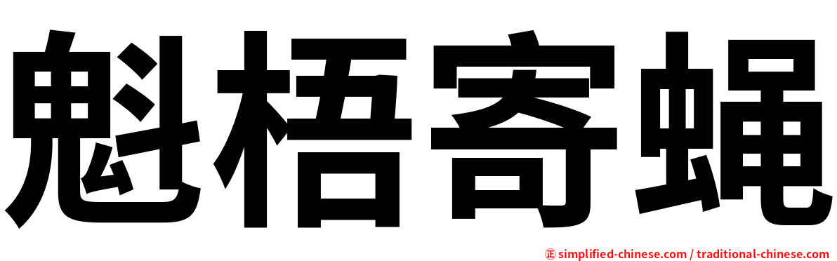 魁梧寄蝇