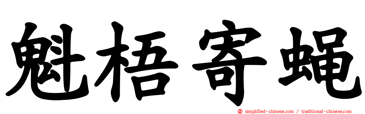 魁梧寄蝇
