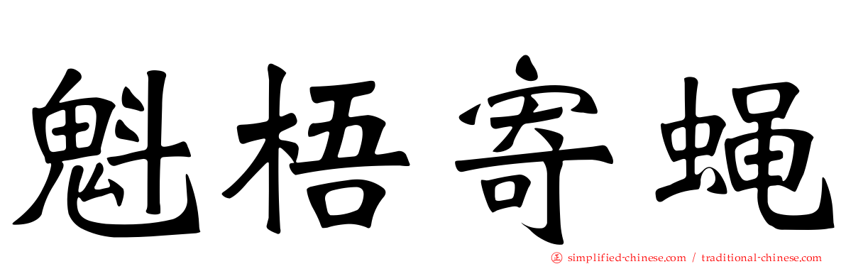 魁梧寄蝇