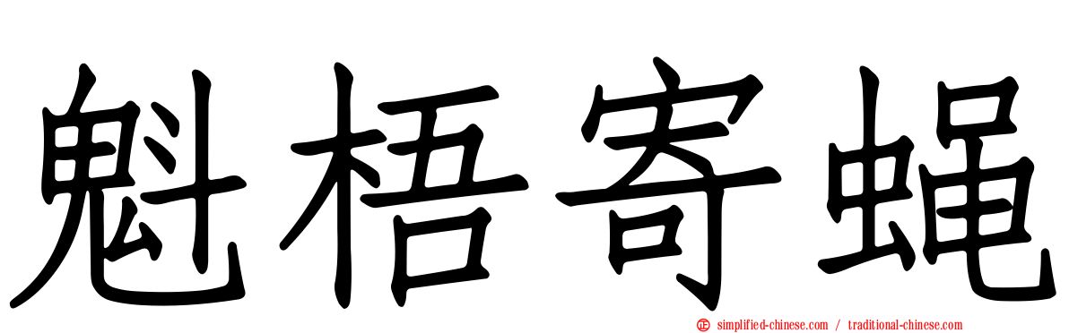 魁梧寄蝇