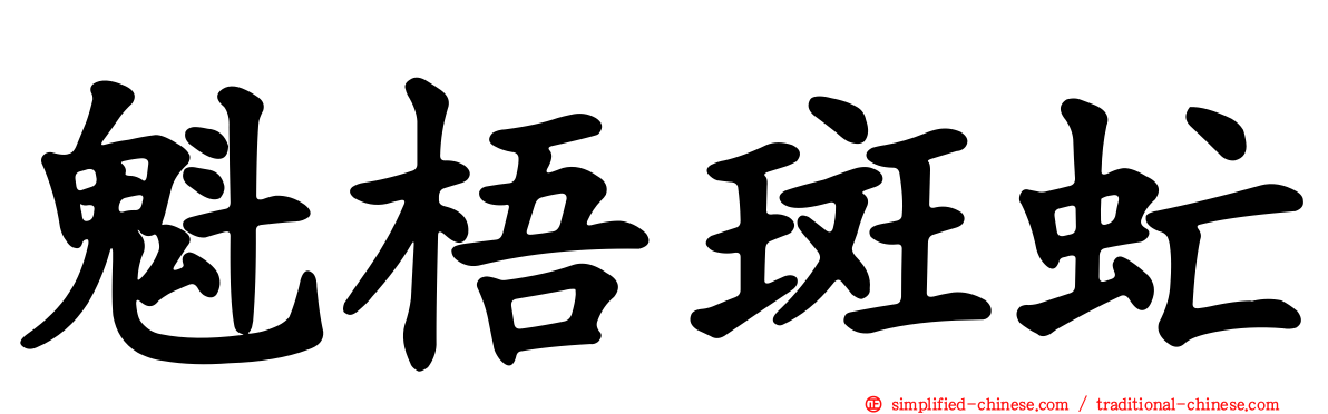 魁梧斑虻