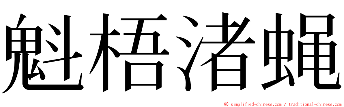 魁梧渚蝇 ming font