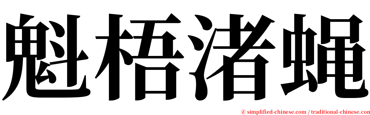 魁梧渚蝇 serif font