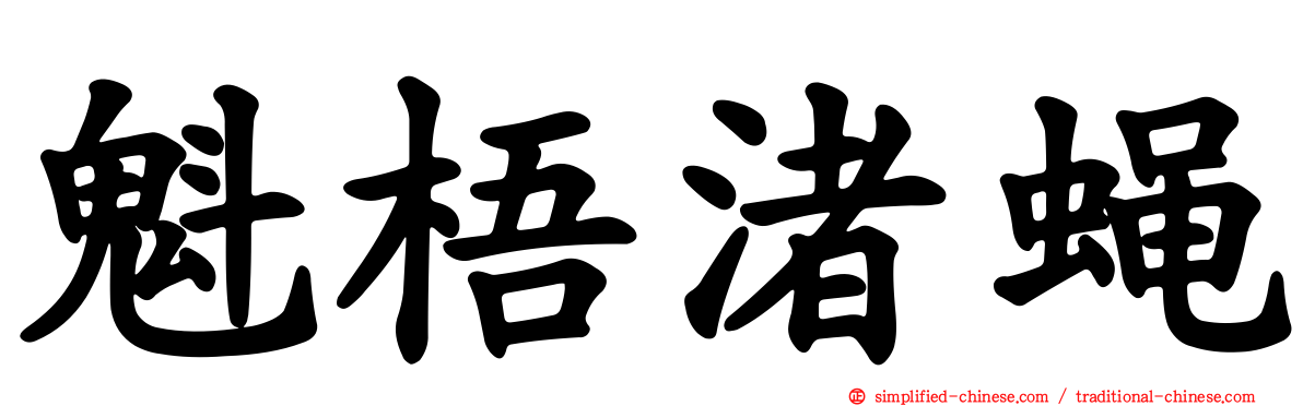 魁梧渚蝇