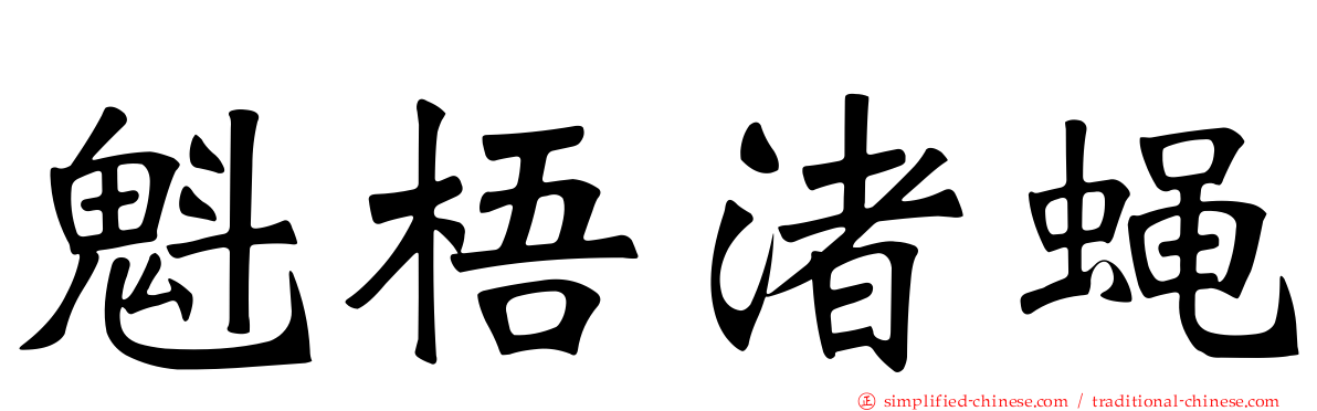 魁梧渚蝇