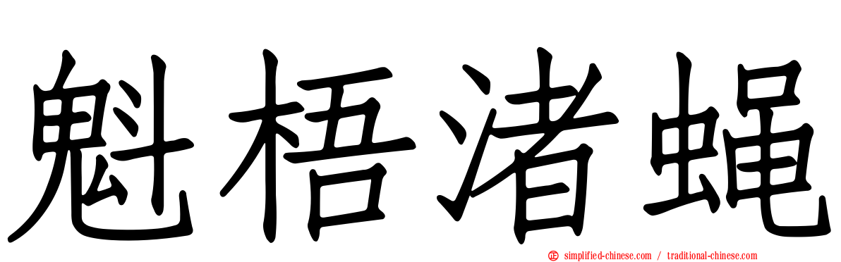 魁梧渚蝇