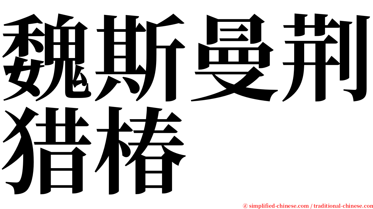 魏斯曼荆猎椿 serif font