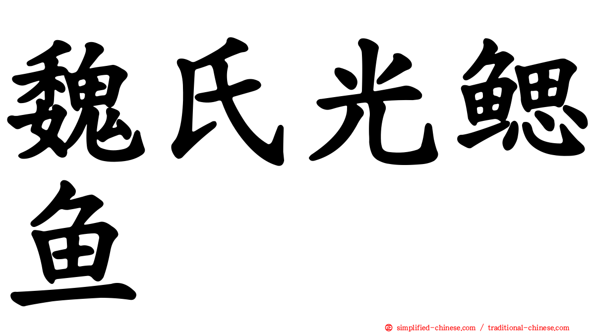 魏氏光鳃鱼