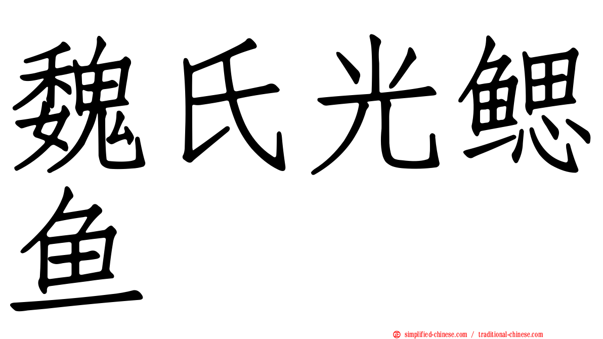 魏氏光鳃鱼