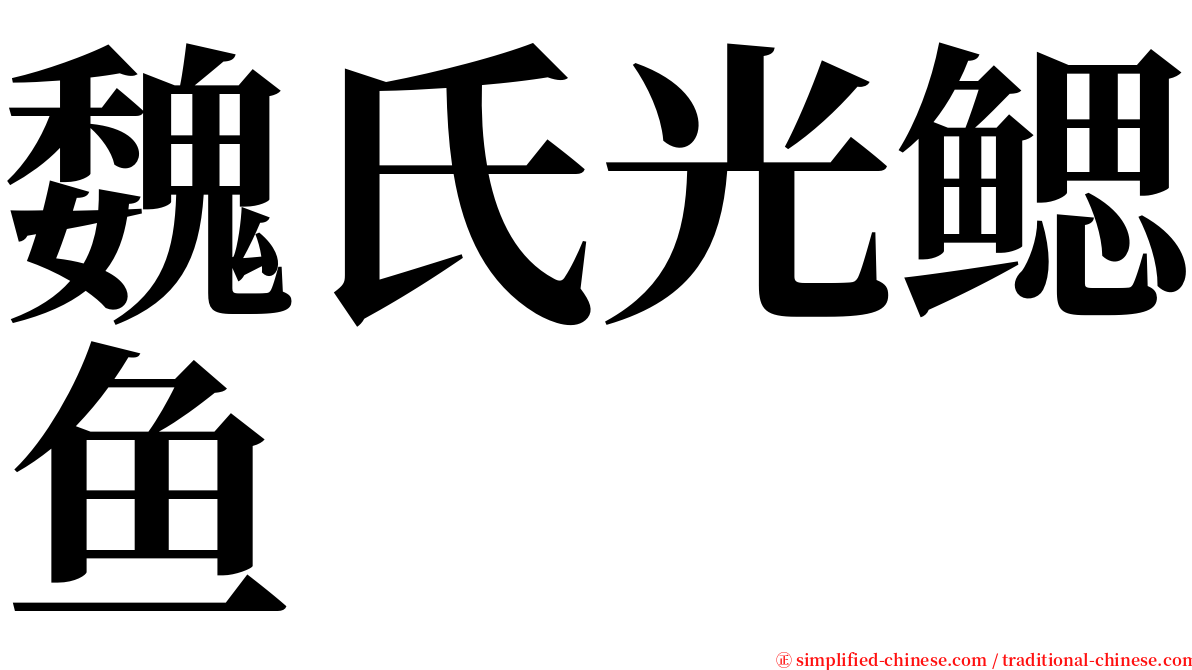魏氏光鳃鱼 serif font