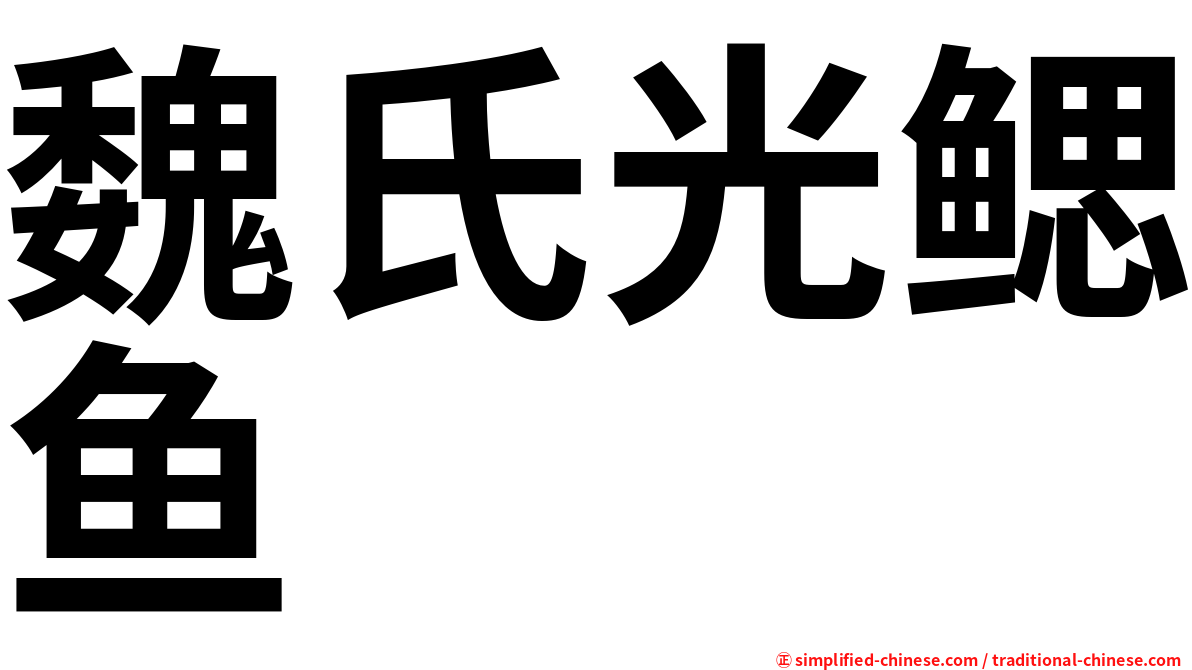 魏氏光鳃鱼