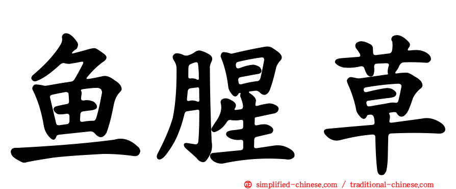 鱼腥草