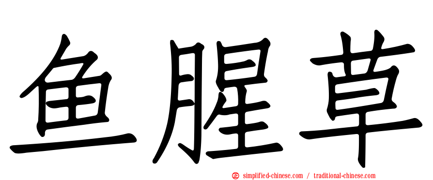 鱼腥草