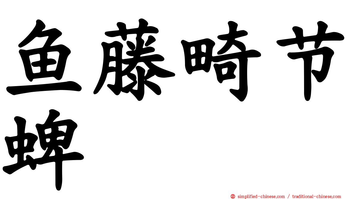 鱼藤畸节蜱