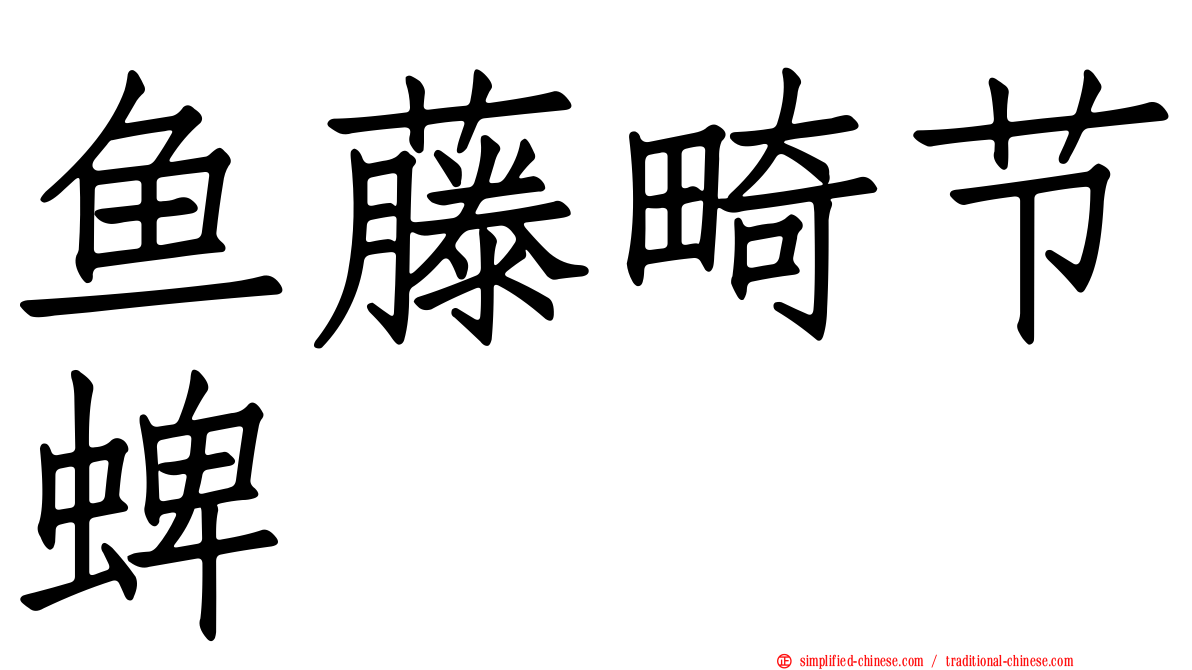 鱼藤畸节蜱