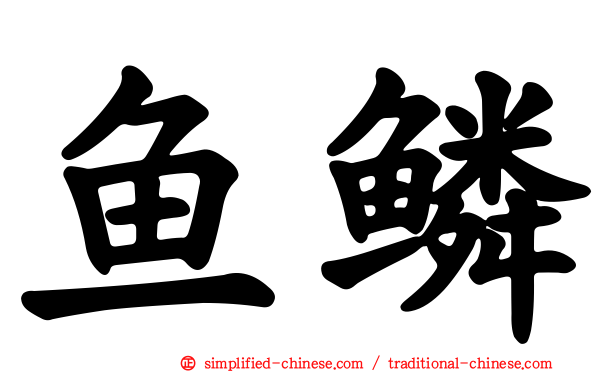 鱼鳞