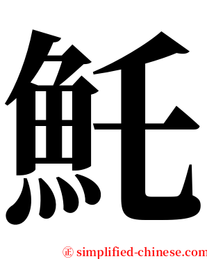 魠 serif font