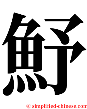 魣 serif font
