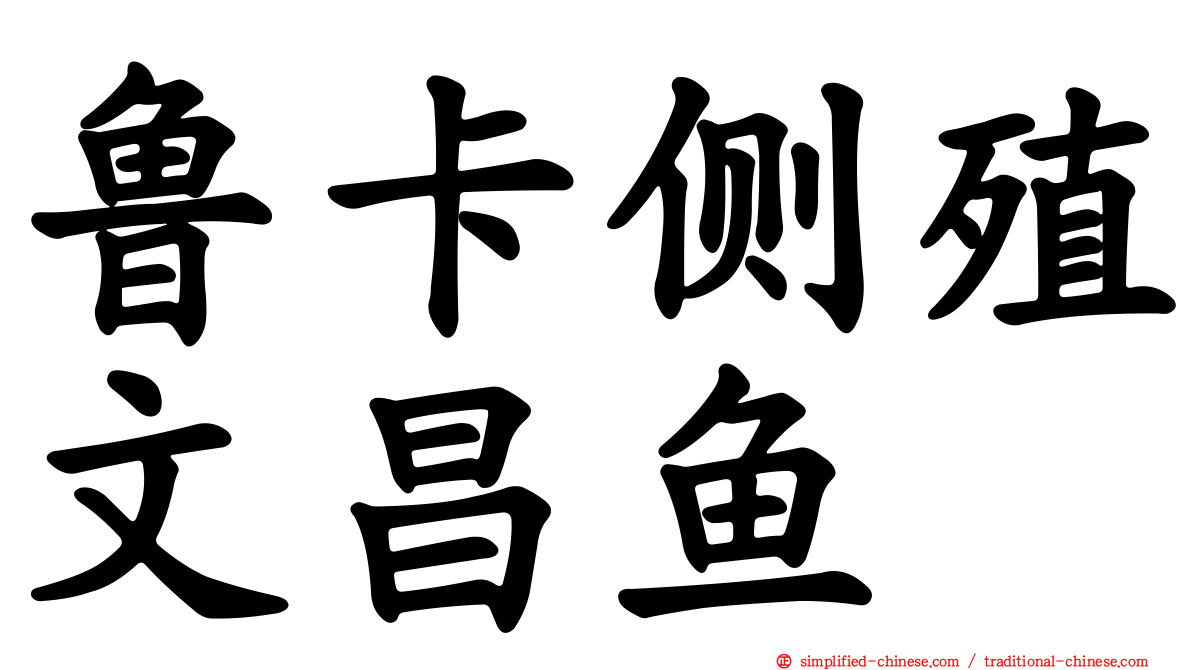 鲁卡侧殖文昌鱼