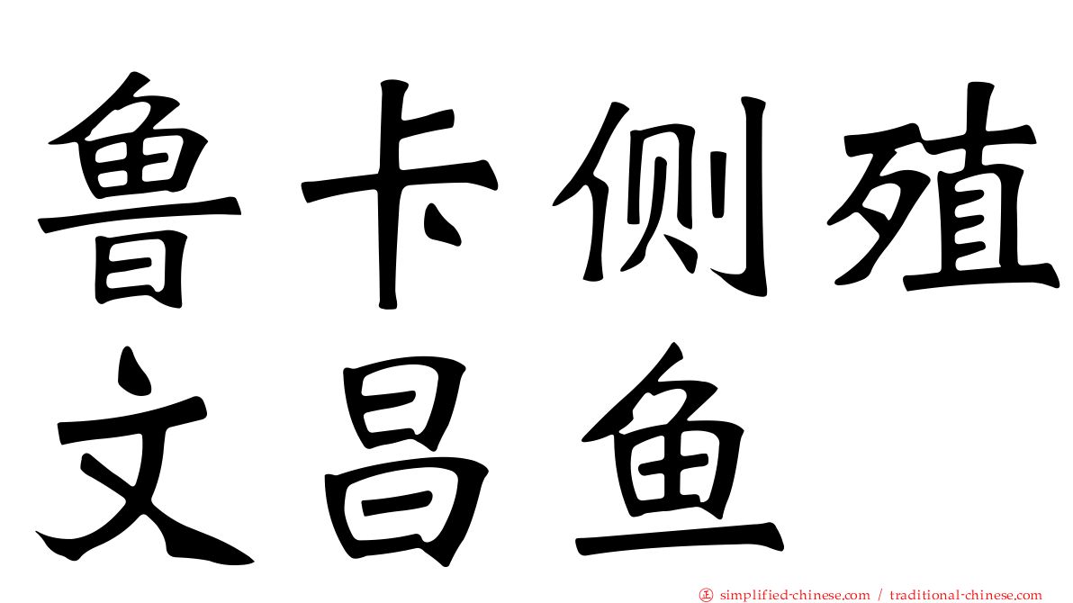 鲁卡侧殖文昌鱼