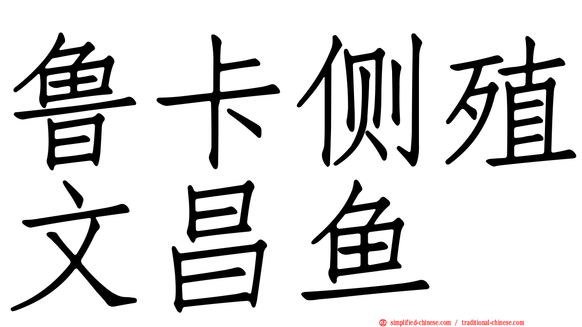 鲁卡侧殖文昌鱼