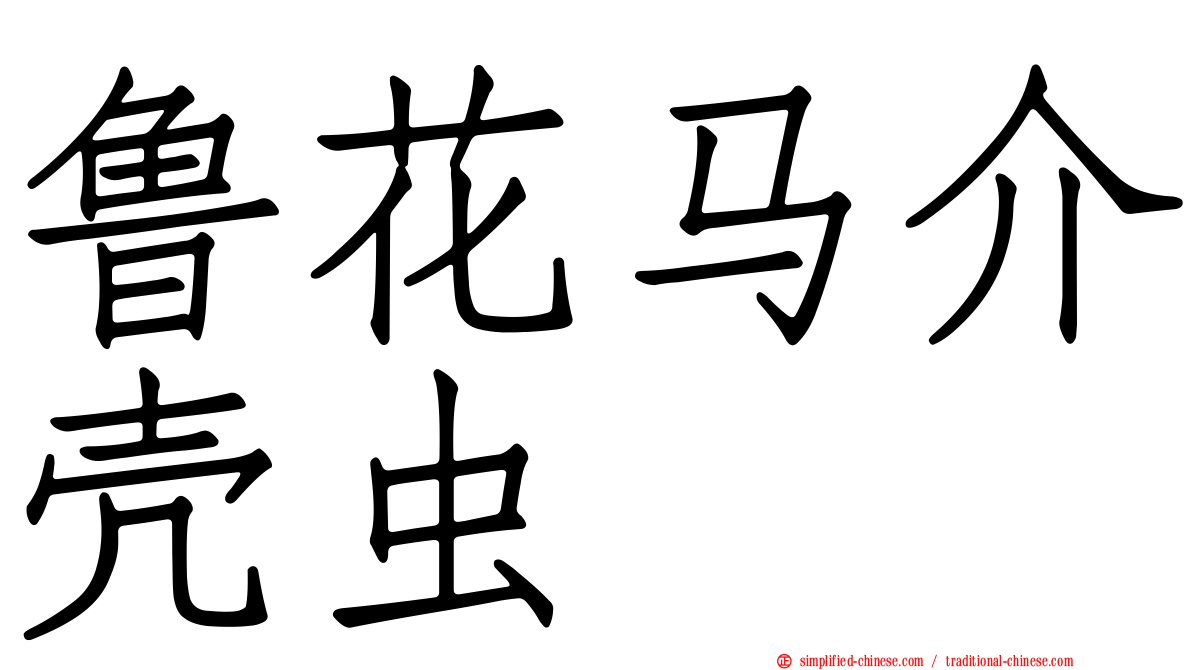 鲁花马介壳虫
