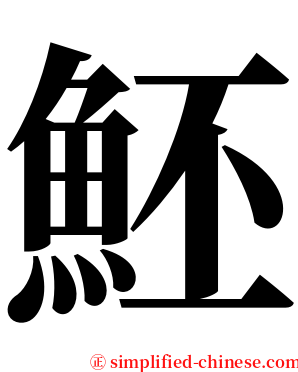 魾 serif font