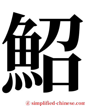 鮉 serif font