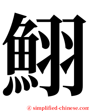 鮙 serif font