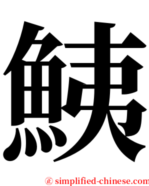 鮧 serif font
