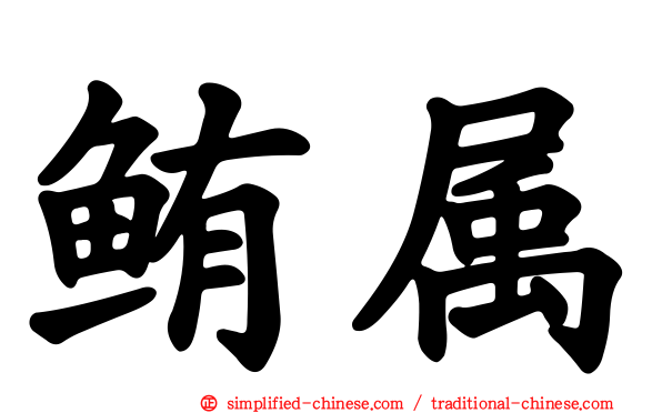鲔属