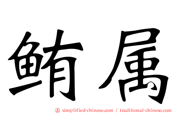 鲔属
