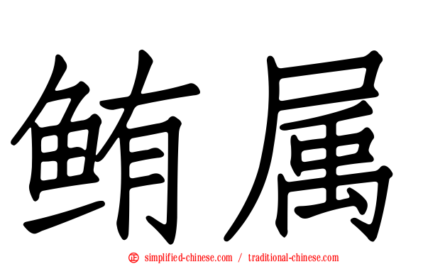 鲔属