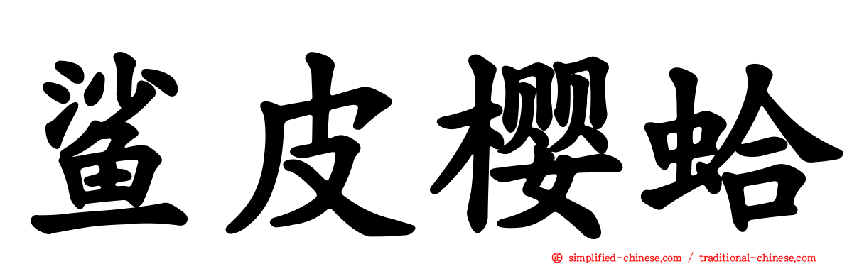 鲨皮樱蛤