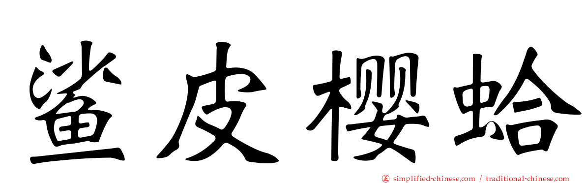 鲨皮樱蛤