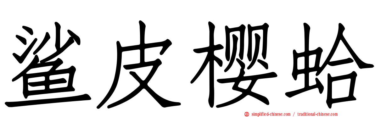 鲨皮樱蛤