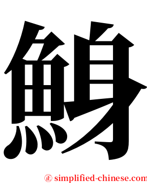 鯓 serif font