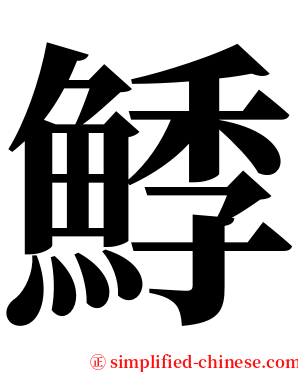 鯚 serif font