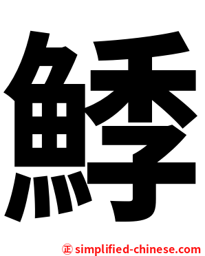 鯚