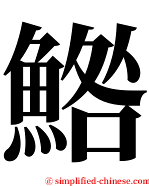 鯦 serif font