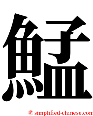 鯭 serif font