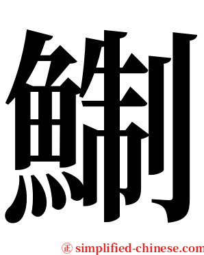 鯯 serif font