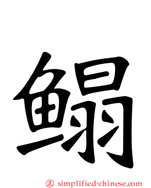 鳎