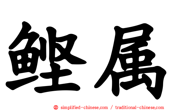 鲣属